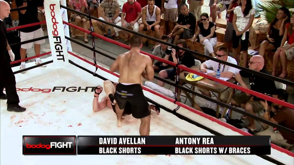 David Avellan and Antony Rea in the ring at a BodogFIGHT event, with the on-screen graphic naming both fighters